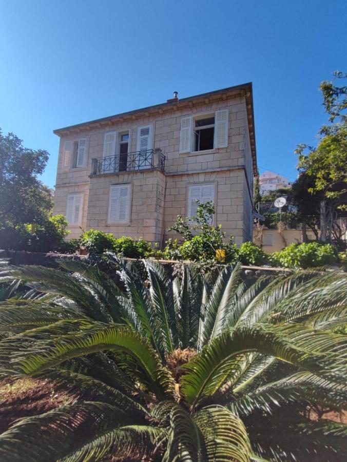 Arancia Dubrovnik